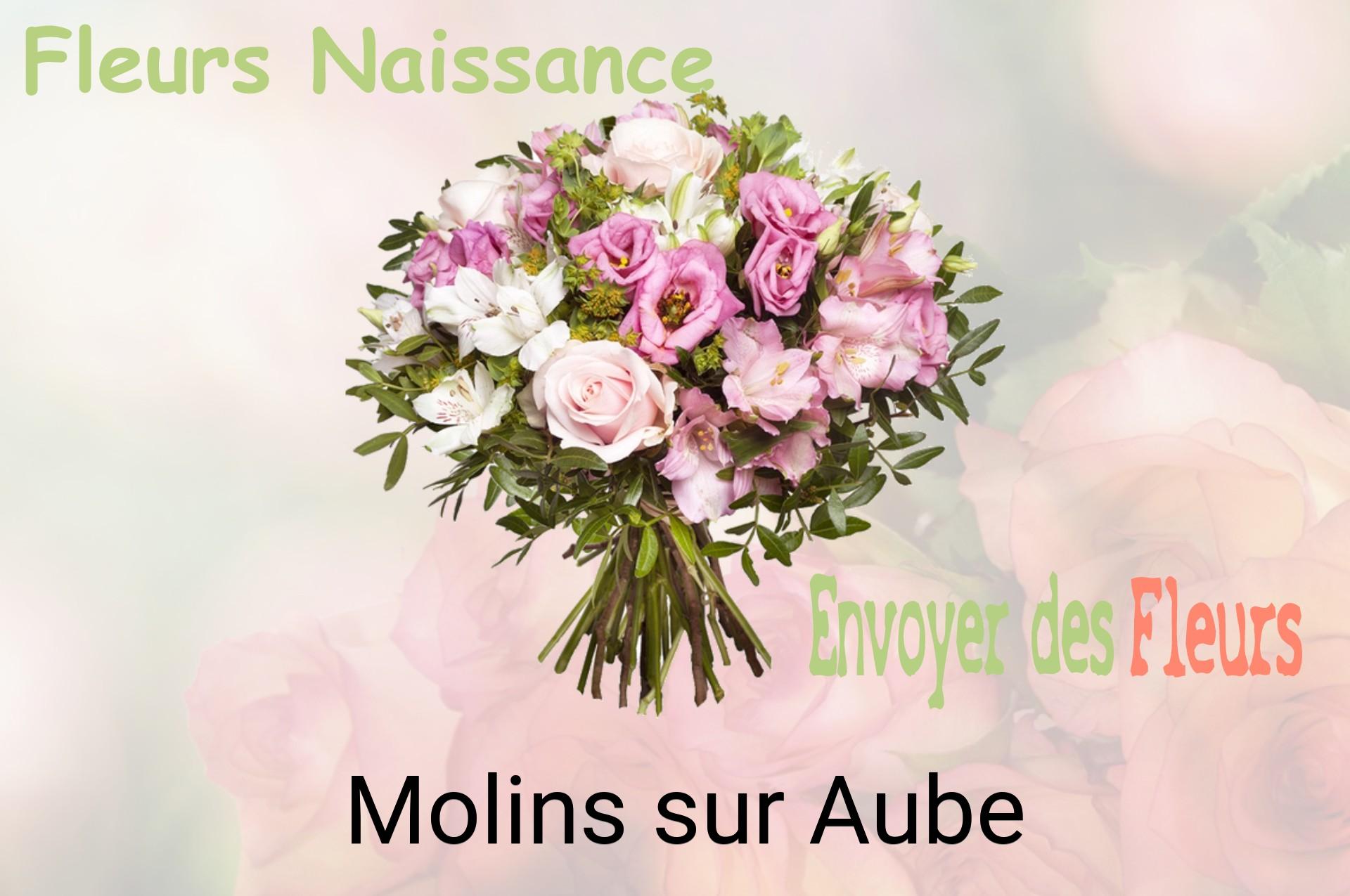 Bouquet de fleurs de naissance livré à Molins-sur-Aube